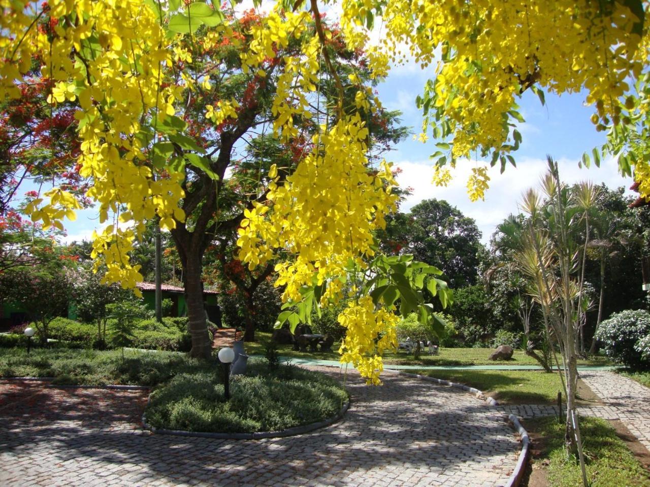 Ver A Vista Hotel Araruama Luaran gambar